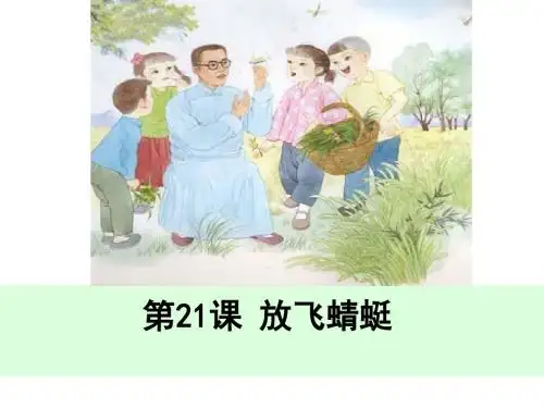 最新配套S版《放飞蜻蜓》精品公开课课件
