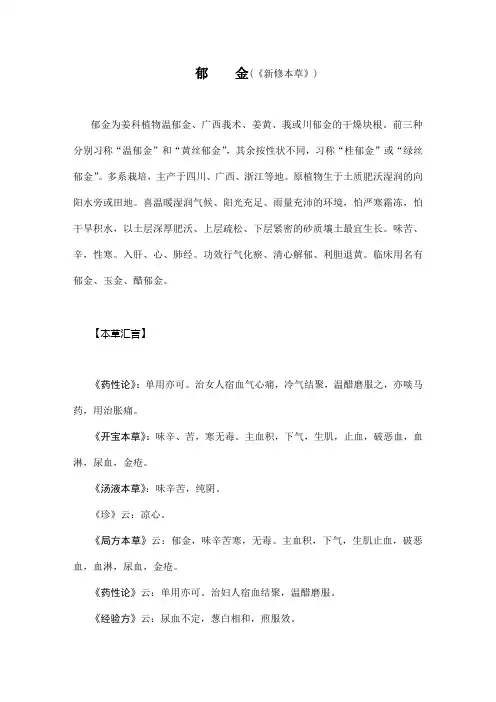 历代本草药性汇解——郁金