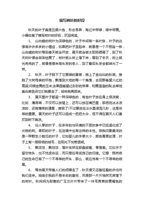 描写树叶的好段