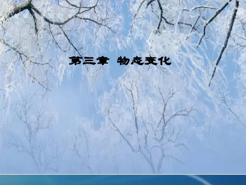 3.4 升华和凝华 课件 (八年级人教版上册) (共14张PPT)
