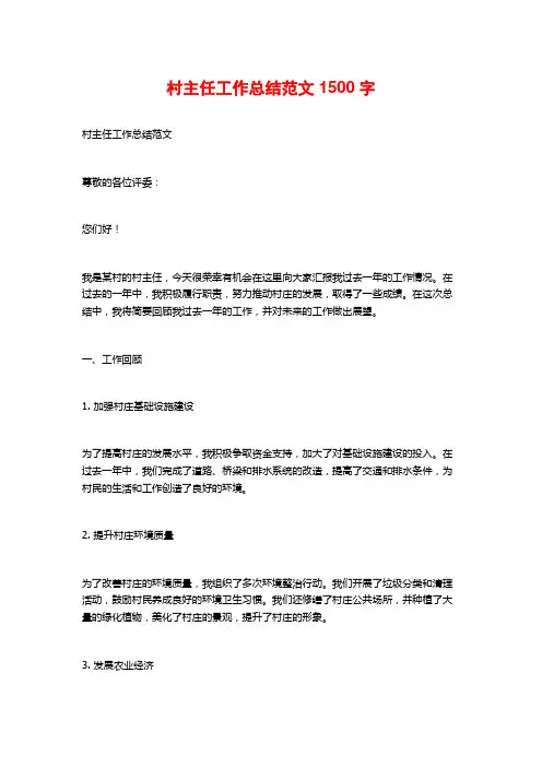 村主任工作总结范文