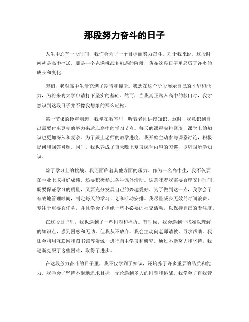 那段努力奋斗的日子