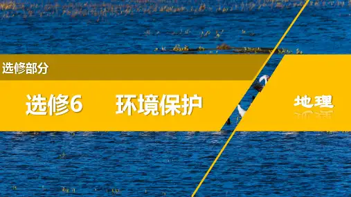 选修6 环境保护(复习课件)2023年高考地理总复习课件(全国通用)