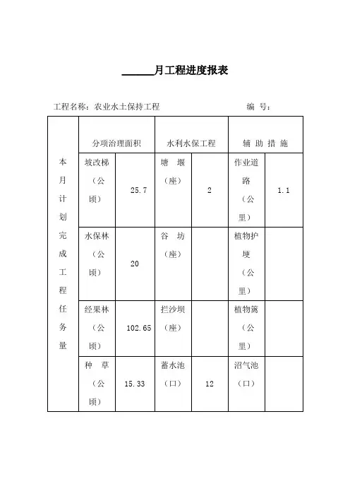 月工程进度报表(完整版)