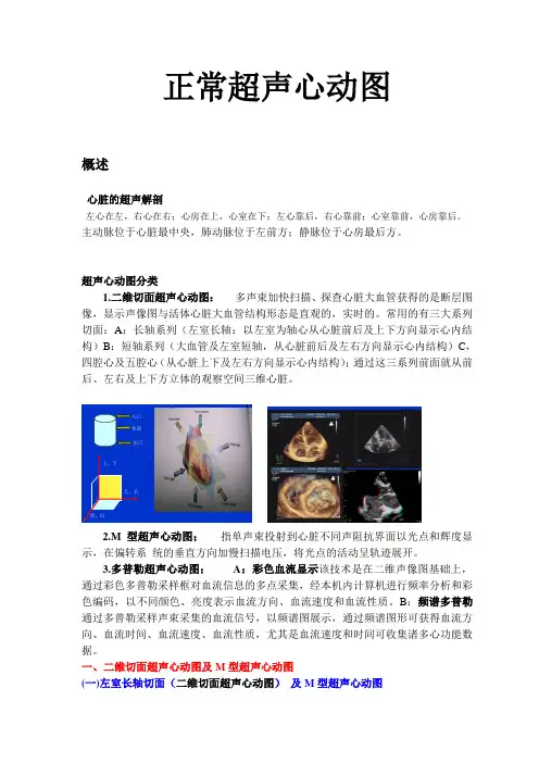 心脏超声诊断(完整)