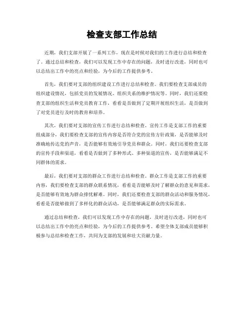 检查支部工作总结