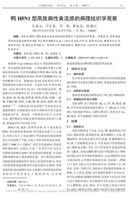 鸭H5N1型高致病性禽流感的病理组织学观察_马春全