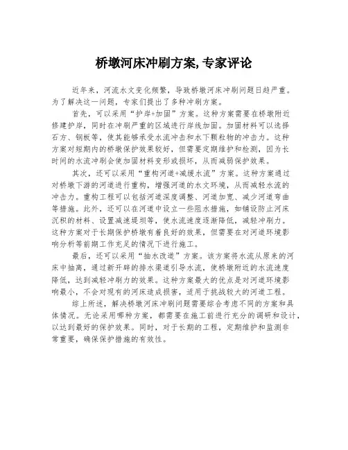 桥墩河床冲刷方案,专家评论
