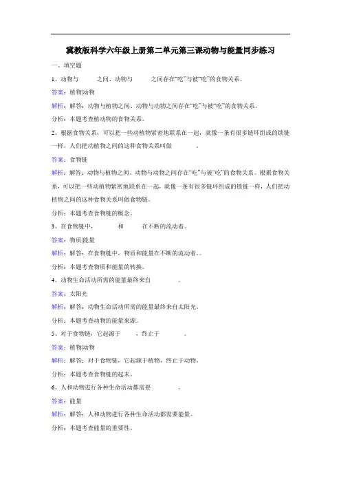 冀教版科学六年级上册第二单元第三课动物与能量同步练习