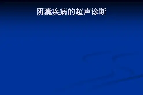 阴囊常见疾病的超声诊断