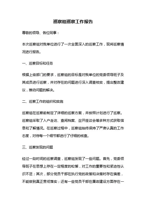巡察组巡察工作报告