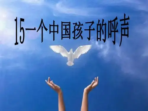 一个中国孩子的呼声(实用版)ppt