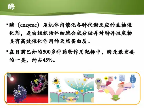 酶抑制剂总结