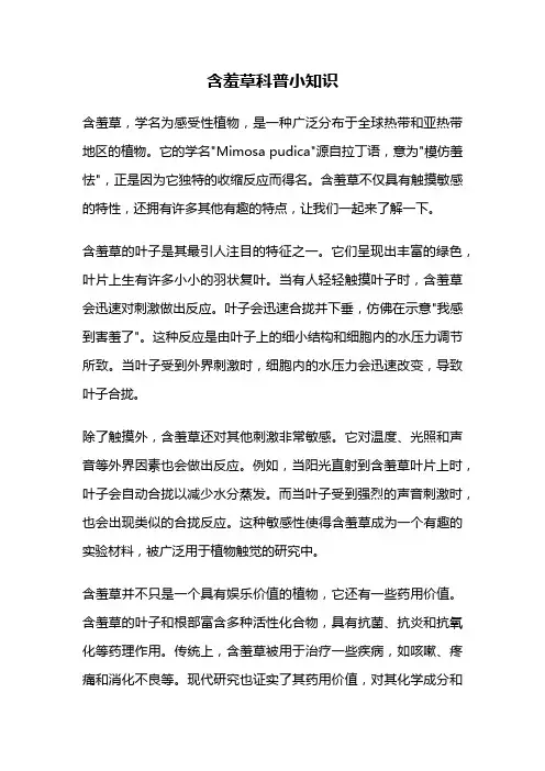 含羞草科普小知识