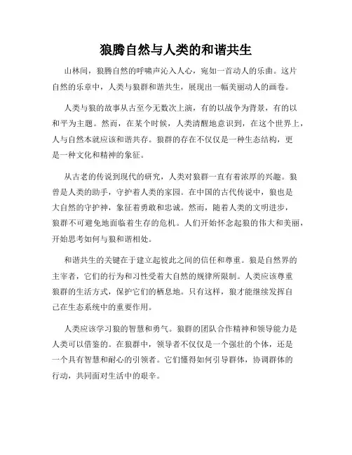 狼腾自然与人类的和谐共生