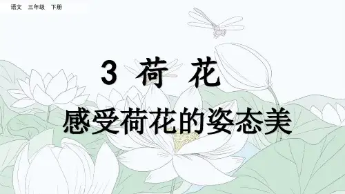 统编版三年级语文下册课件名师讲重点课件3荷花(感受荷花的姿态美)
