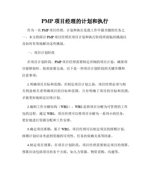 PMP项目经理的计划和执行