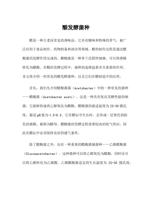 醋发酵菌种