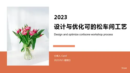 2023年产50吨氢化可的松车间工艺设计论文方案模板
