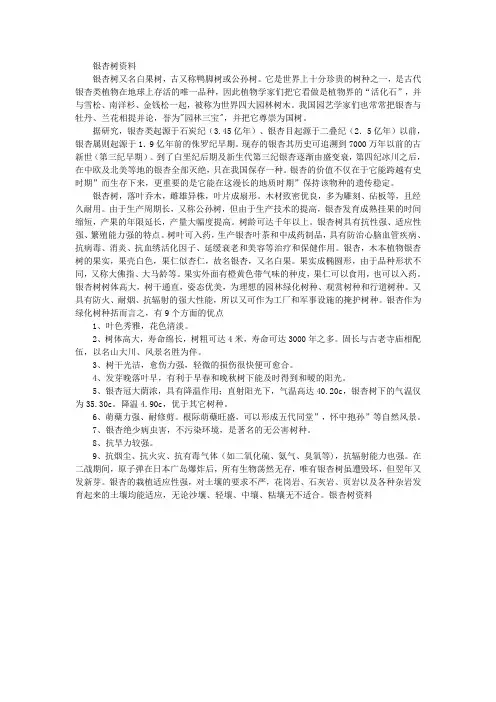 银杏树资料