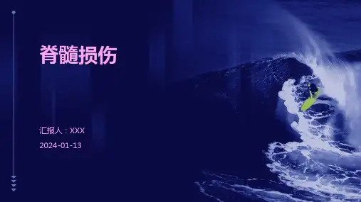 脊髓损伤介绍演示培训课件