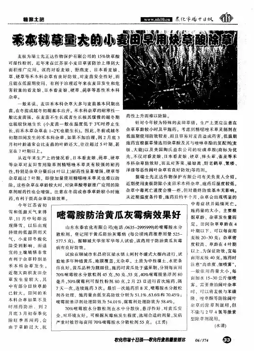 禾本科草量大的小麦田早用炔草酸除草