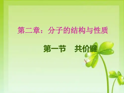共价键(1) 分子的结构与性质