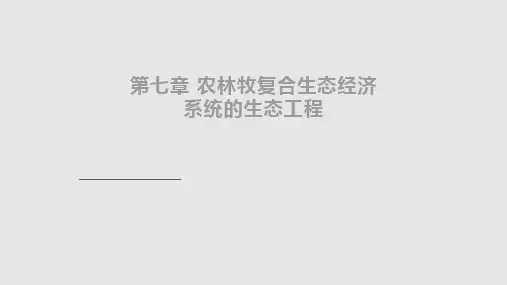 农林牧复合生态经济系统PPT课件