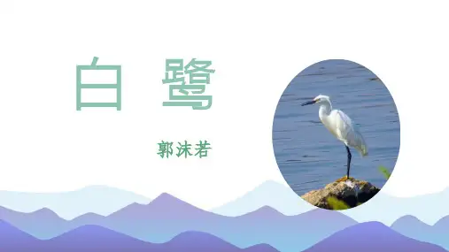 《白鹭》PPT课件