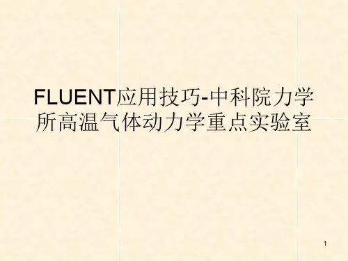 FLUENT应用技巧-中科院力学所高温气体动力学重点实验室