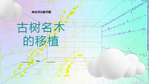 古树名木移植施工技术及控制要点