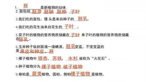 第二章被子植物的一生