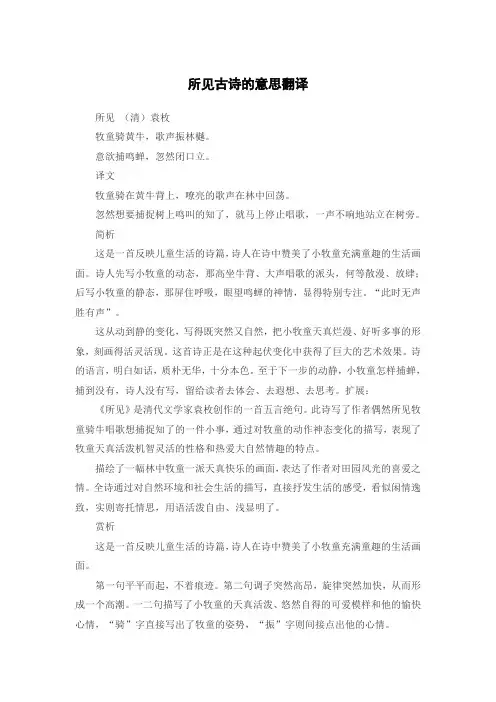 所见古诗的意思翻译