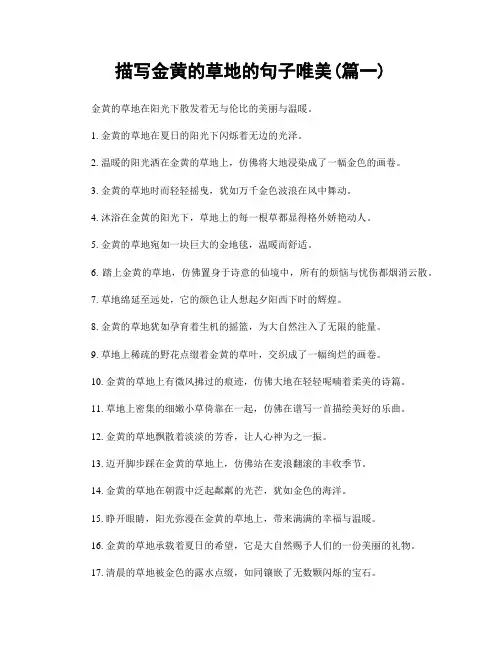 描写金黄的草地的句子唯美(精选2篇)