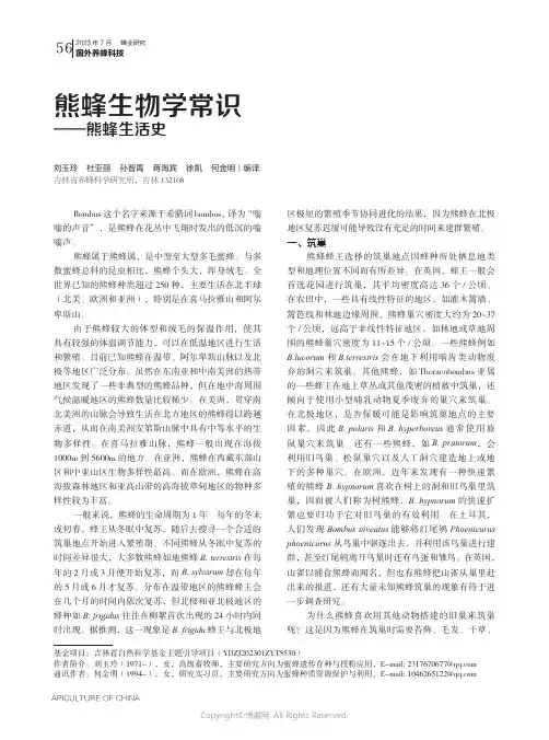 熊蜂生物学常识——熊蜂生活史
