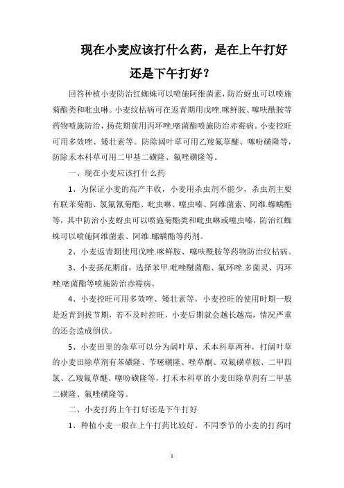 现在小麦应该打什么药,是在上午打好还是下午打好？