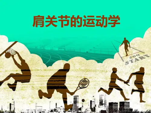 肩关节的运动学