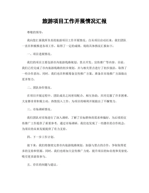 旅游项目工作开展情况汇报