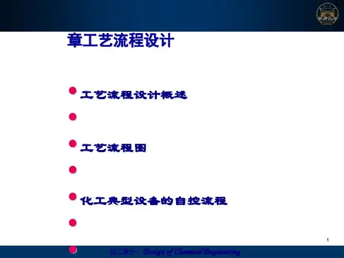 工艺流程设计教材(PPT 121页)