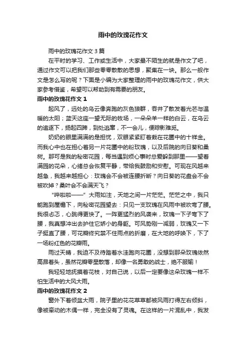 雨中的玫瑰花作文3篇