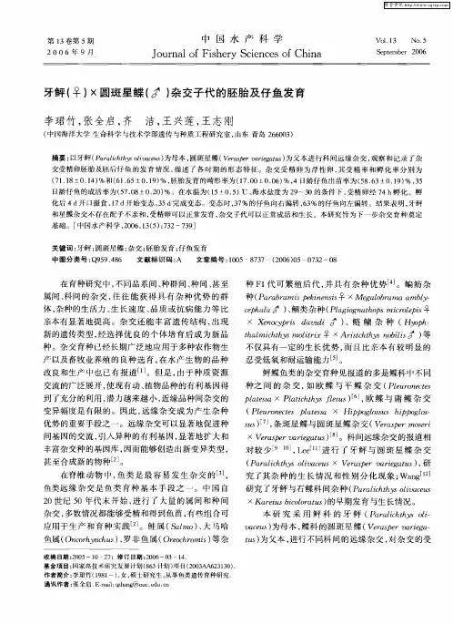 牙鲆(♀)×圆斑星鲽(♂)杂交子代的胚胎及仔鱼发育