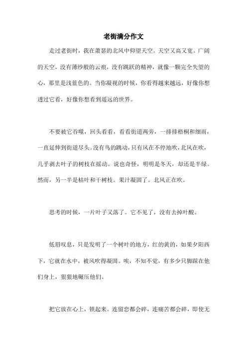 老街满分作文