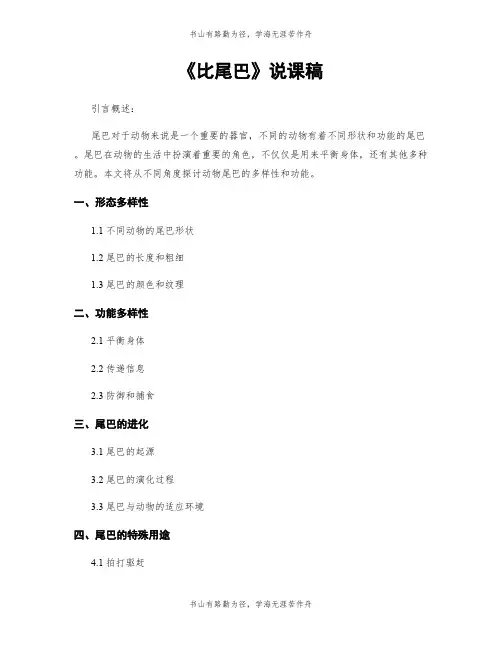 《比尾巴》说课稿