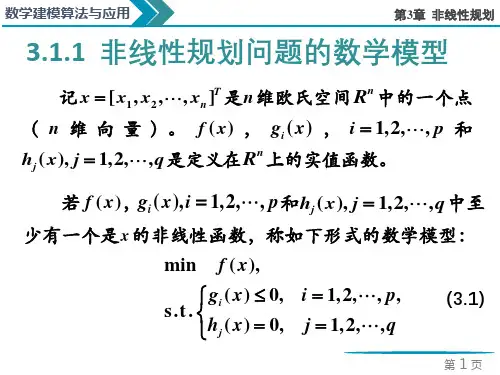 2022年Python数学实验与建模第3章  非线性规划