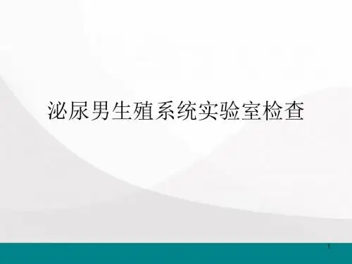 泌尿男生殖系统检查医学PPT课件