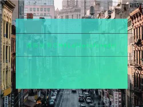 国际结算CH5Letterofcredit
