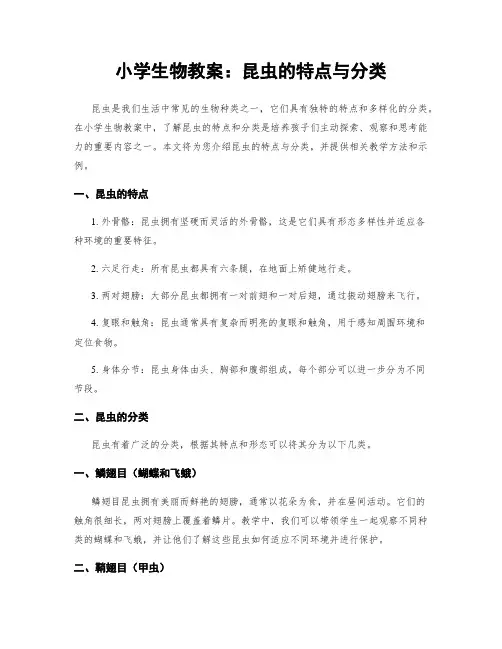 小学生物教案：昆虫的特点与分类