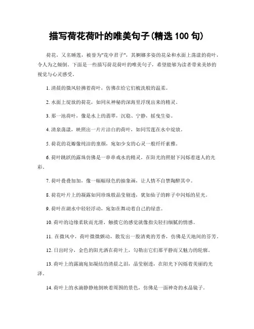 描写荷花荷叶的唯美句子(精选100句)