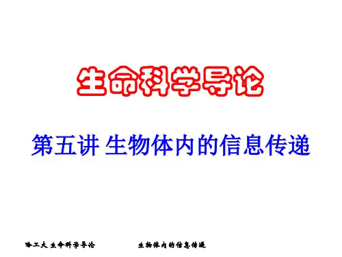 生命科学导论5-生物体内的信息传递