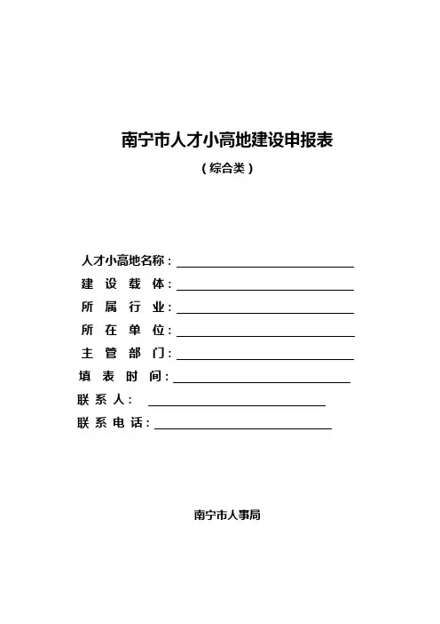 南宁市人才小高地建设申报表(综合类)